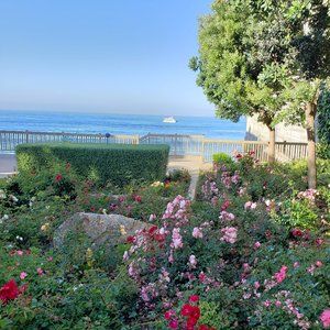 Meet your Posher, Bekki